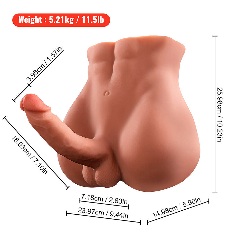 XISE - BERTLETT GODEMICHET ASS GODEMICHET RÉALISTE ET MASTURBATEUR ANUS POSITION DE FACE AVANT AVEC POUSSE 18 CM